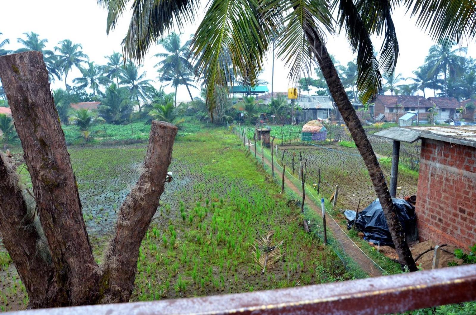 Kenchas Beach Resort Gokarna  Esterno foto