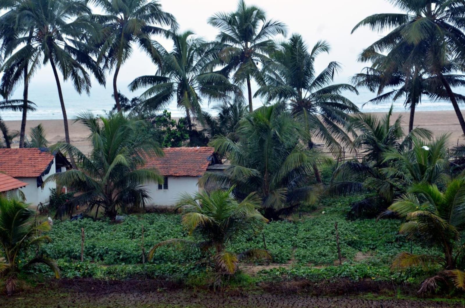 Kenchas Beach Resort Gokarna  Esterno foto